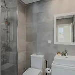 Apartment Chimney Luxury House With Ac